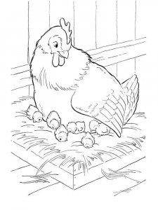 Chicken coloring page - picture 31