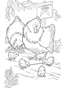Chicken coloring page - picture 32