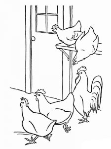 Chicken coloring page - picture 34