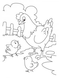 Chicken coloring page - picture 35