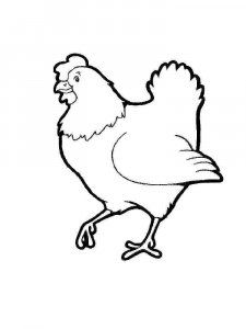 Chicken coloring page - picture 36