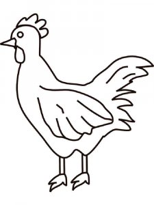 Chicken coloring page - picture 37