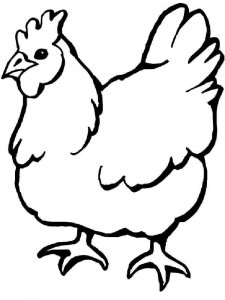 Chicken coloring page - picture 20