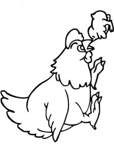 Chicken coloring page - picture 23