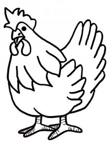 Chicken coloring page - picture 25
