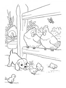 Chicken coloring page - picture 27