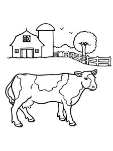Cow coloring page - picture 18