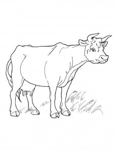 Cow coloring page - picture 49