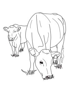 Cow coloring page - picture 8