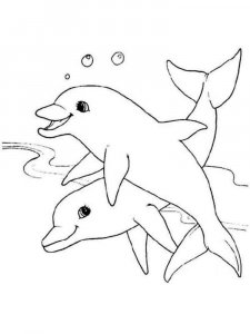 dolphin coloring page - picture 16