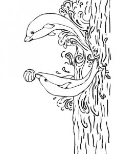 dolphin coloring page - picture 17