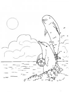 dolphin coloring page - picture 3