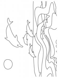 dolphin coloring page - picture 4