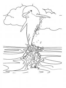 dolphin coloring page - picture 6