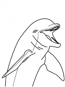 dolphin coloring page - picture 7