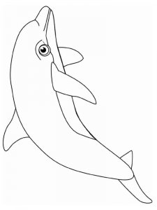 dolphin coloring page - picture 8
