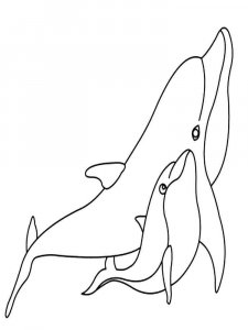 dolphin coloring page - picture 9