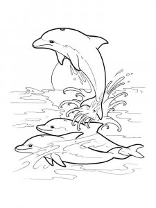dolphin coloring page - picture 18