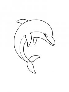 dolphin coloring page - picture 20