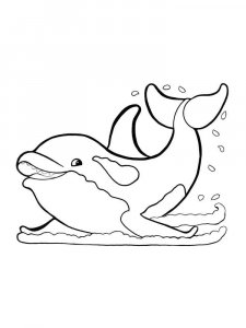 dolphin coloring page - picture 22