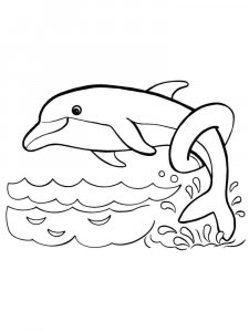 dolphin coloring page - picture 23