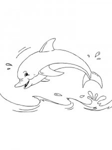 dolphin coloring page - picture 28
