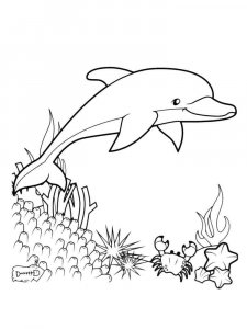 dolphin coloring page - picture 29