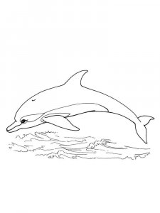 dolphin coloring page - picture 30
