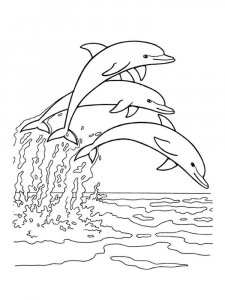 dolphin coloring page - picture 31