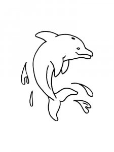 dolphin coloring page - picture 33