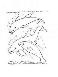 dolphin coloring page - picture 35