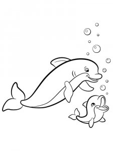 dolphin coloring page - picture 36