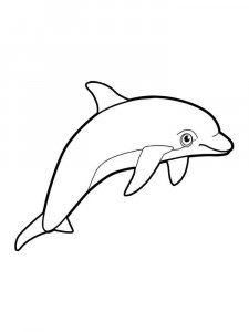 dolphin coloring page - picture 38
