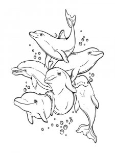 dolphin coloring page - picture 39