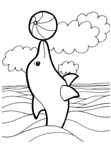 dolphin coloring page - picture 40