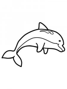 dolphin coloring page - picture 41