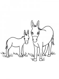 Donkey coloring page - picture 24