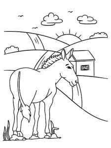 Donkey coloring page - picture 30