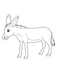 Donkey coloring page - picture 31