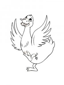 Duck coloring page - picture 11
