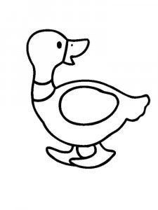 Duck coloring page - picture 14