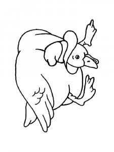 Duck coloring page - picture 16