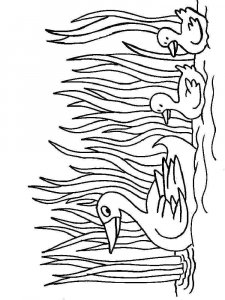 Duck coloring page - picture 4