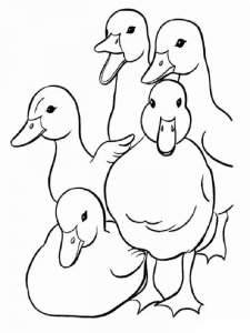 Duck coloring page - picture 6