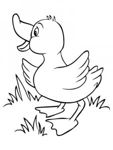 Duck coloring page - picture 7