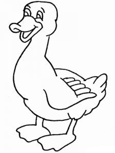 Duck coloring page - picture 8