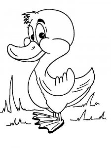 Duck coloring page - picture 9