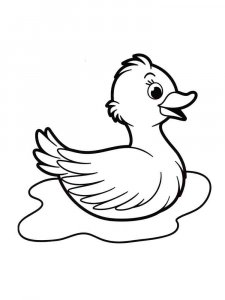 Duck coloring page - picture 17