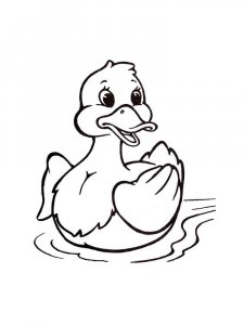 Duck coloring page - picture 18