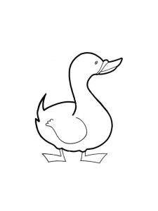 Duck coloring page - picture 25